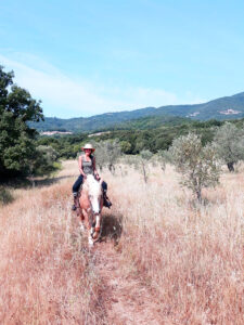 Eine Person reitet auf einem hellen Pferd durch eine sonnige Wiese in der hügeligen Landschaft der Toskana.